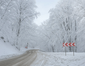 Sabaduri forest Winter road