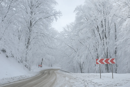 Discover Sabaduri Forest & More: National Park Adventure