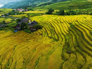 Remote Sapa Tour: Countryside: Nam Cang – Nam Nhiu villages
