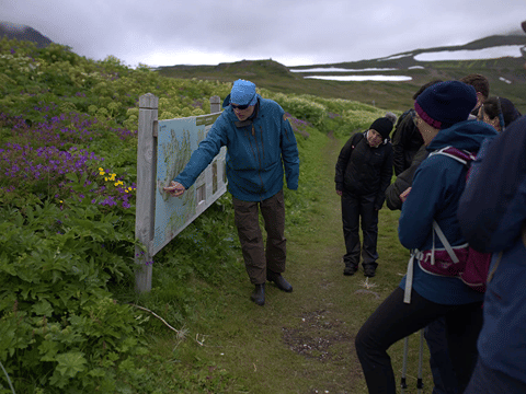 The Prime Hiking Destination - Hornstrandir hike (Hesteyri - Aðalvík), photo 5