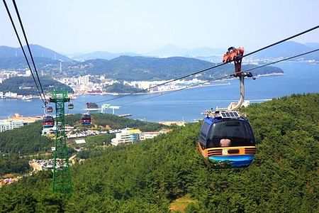 Private Tour from Busan to Seoul: Explore Gyeongju, Tongyeong, and Boseong