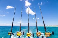 Private Deep Sea Fishing in Montego Bay  6