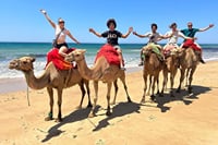 Tangier Camel Ride