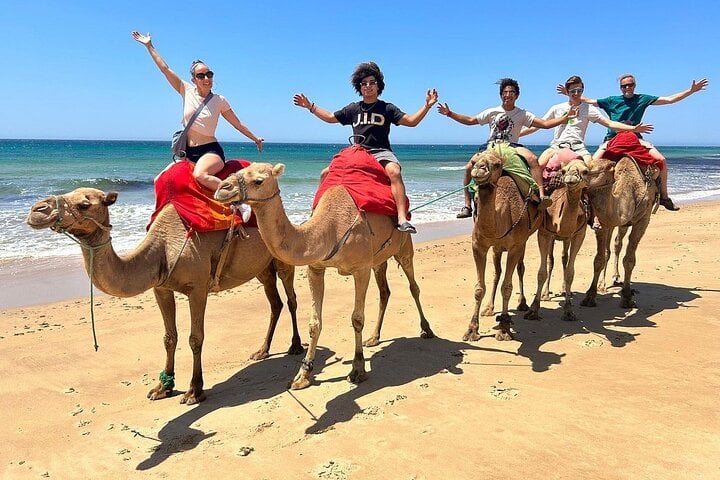 Tangier Camel Ride