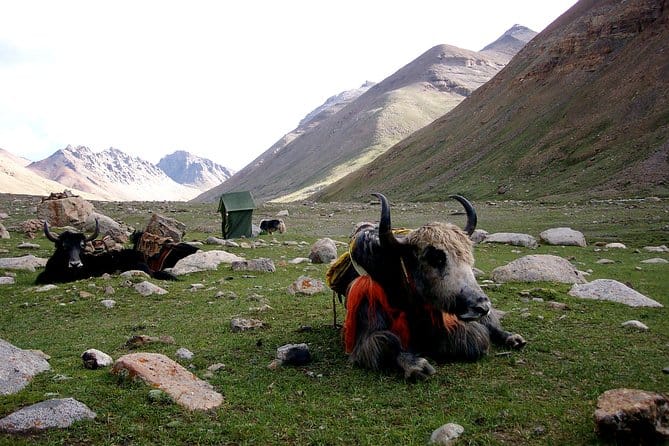 11 Days – Tibet Mount Kailash Pilgrimage Tour