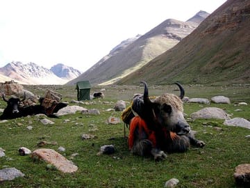 19 Days Mera Peak Climbing & Expedition – One Life-Changing Himalayan Adventure