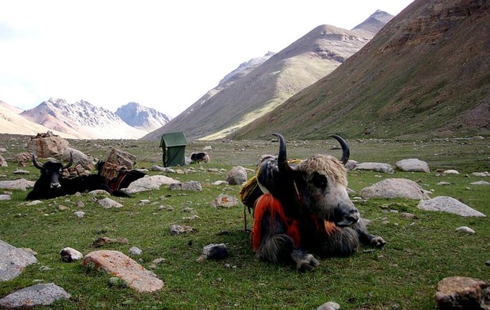 11 Days – Tibet Mount Kailash Pilgrimage Tour