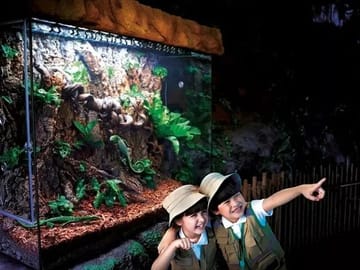 Sea Life Bangkok Ocean World Tickets