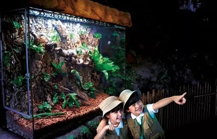 SEA LIFE Bangkok Ocean World Standard Admission Ticket