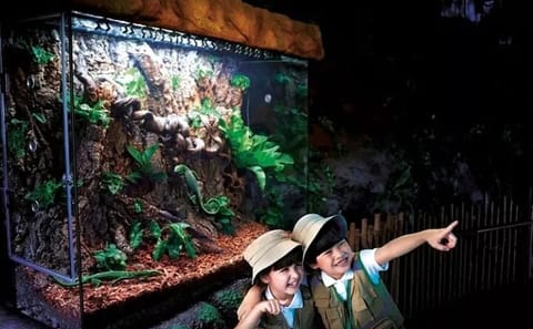 SEA LIFE Bangkok Ocean World Standard Admission Ticket