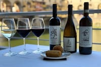 Florence Wine Tasting at Ponte Vecchio with Sommelier 5