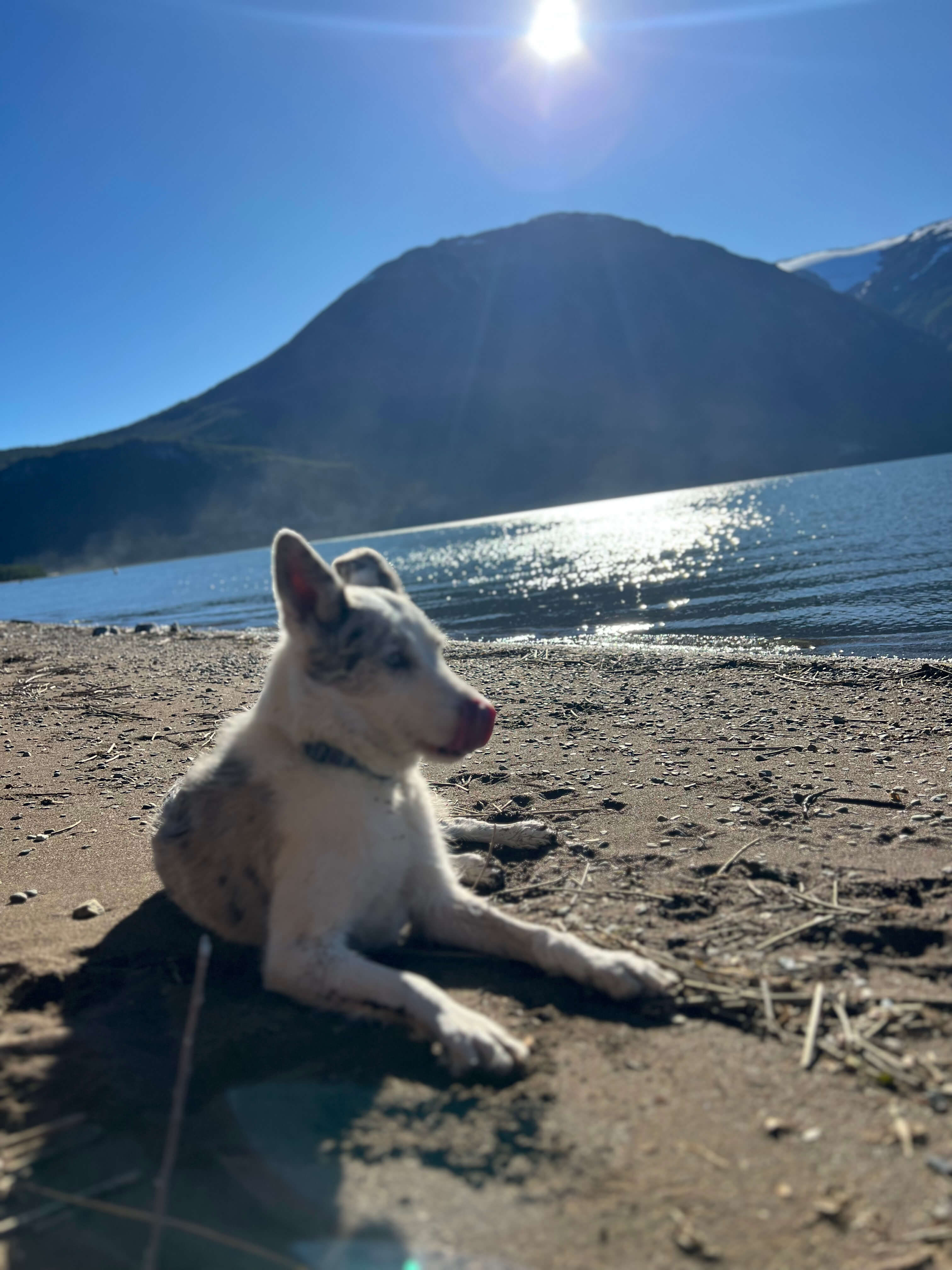 Pascua: nuestra mejor anfitriona y compañera 24/7 en Villa O