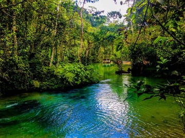 Wildlife Tour of Alto Mayo Reserve in Tarapoto, Peru