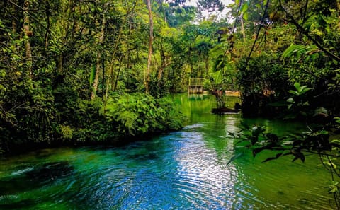 Wildlife Tour of Alto Mayo Reserve in Tarapoto, Peru