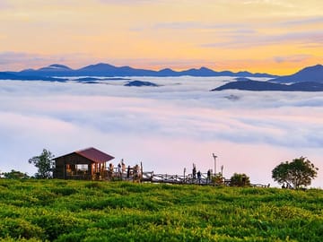 Cloud Hunting Tour with Local Delicacies in Dalat