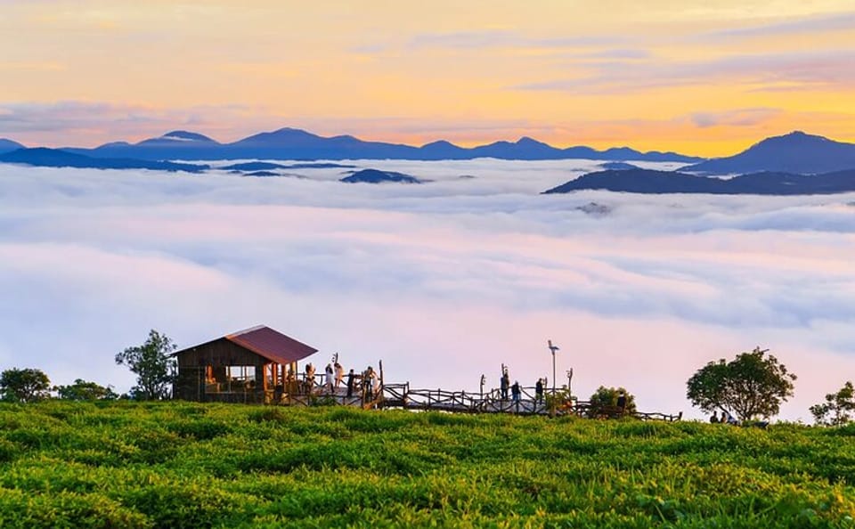 Cloud Hunting Tour with Local Delicacies in Dalat