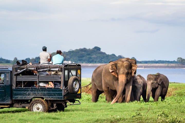 8 Days Classic Tour Sri Lanka