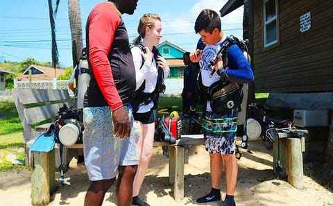 Discover Scuba Diving in Flowers Bay, Honduras