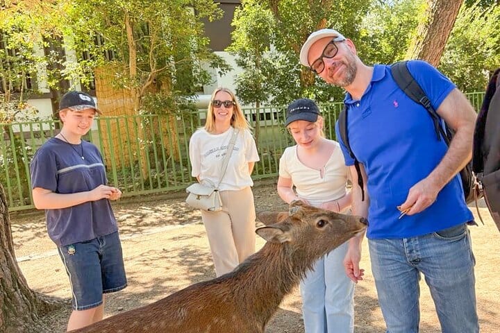 Nara Half Day Trip Walking Tour (Private Option Available) 7