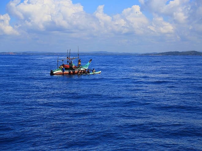  From Mirissa: Mirissa Whale Watching Tour 6