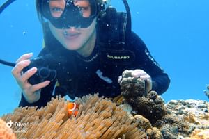 DiveGurus - SSI Scuba Diving for Beginners in Boracay