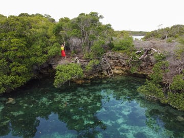 Snorkeling coral gardens in the Blue Lagoon