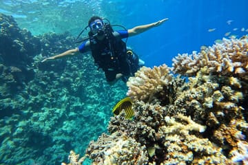 Scuba Diving Introduction at Red Sea Diving College, Egypt