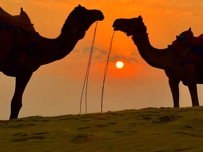 Rajasthan with North & Central India