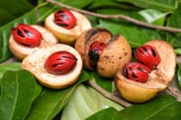 Zanzibar Spice Tour with Local Food 9