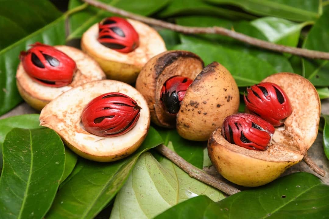Zanzibar Spice Tour with Local Food 9