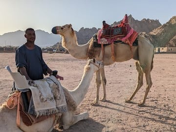Camel Riding Adventure in the Egyptian Desert from Hurghada