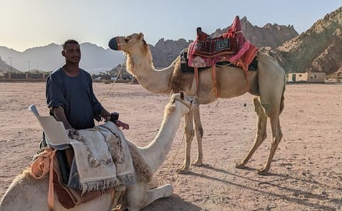 Camel Riding Adventure in the Egyptian Desert from Hurghada