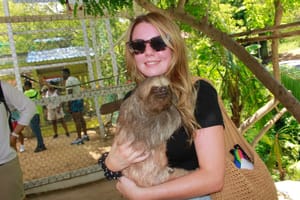 Enjoy Fun in the Sun