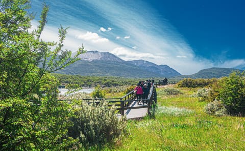 3-Day Nature and Adventure Tour in Ushuaia, Argentina