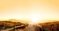 Cape Town's Culture and Cuisine, Private tour 1