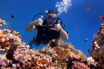 Tiran Island Snorkeling Tour with Transfers and Lunch Included