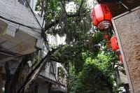 Private Biking Day Tour in Guangzhou College Town 5