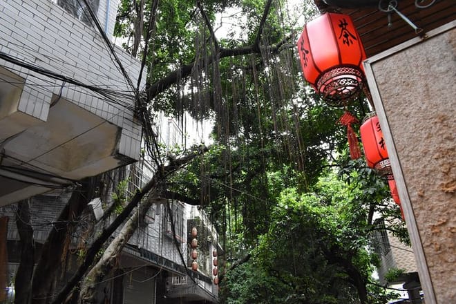 Private Biking Day Tour in Guangzhou College Town 5