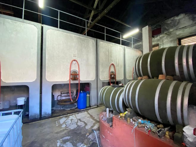 Taste of Tradition: Olive Oil, Wine & Fish 8