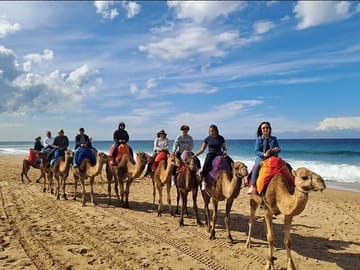 Explore the North From Tangier in 3 Days