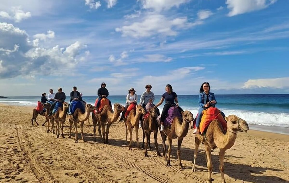 From Tangier: Cap Spartel and Hercules Cave with Camel Ride