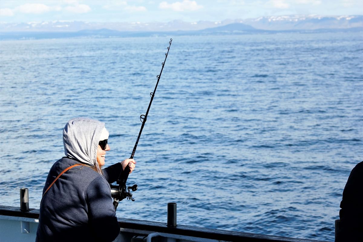 Sunset Fishing in Faxaflói Bay: 2.5-3 Hour Excursion