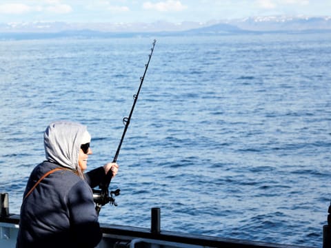 Sunset Fishing in Faxaflói Bay: 2.5-3 Hour Excursion, photo 4