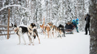 Arctic Circle Highlights with Snowmobiling 8