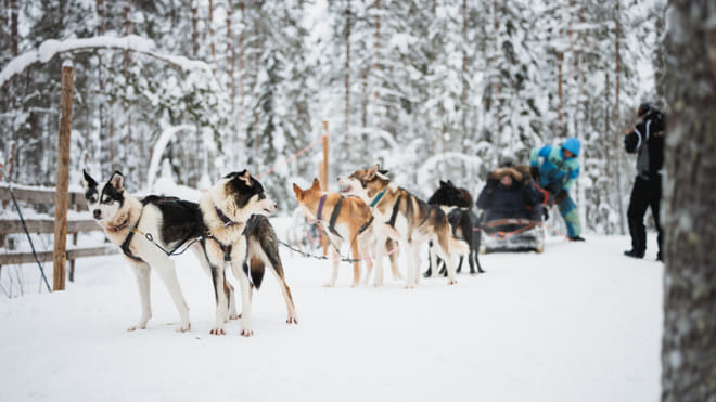 Arctic Circle Highlights with Snowmobiling 8