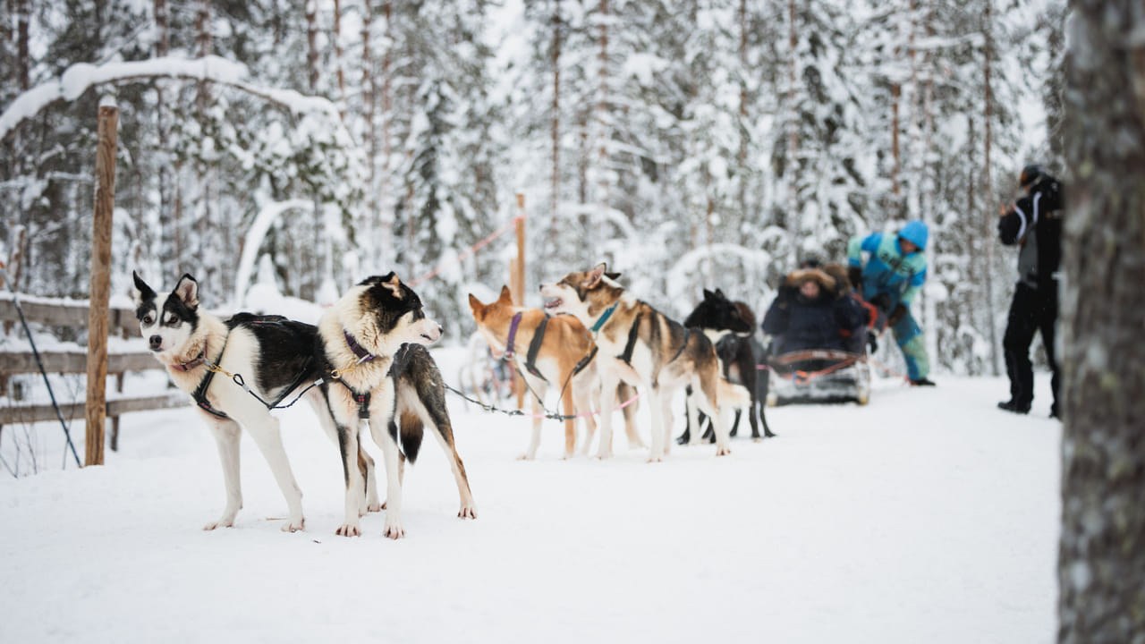 Arctic Circle Highlights with Snowmobiling 8