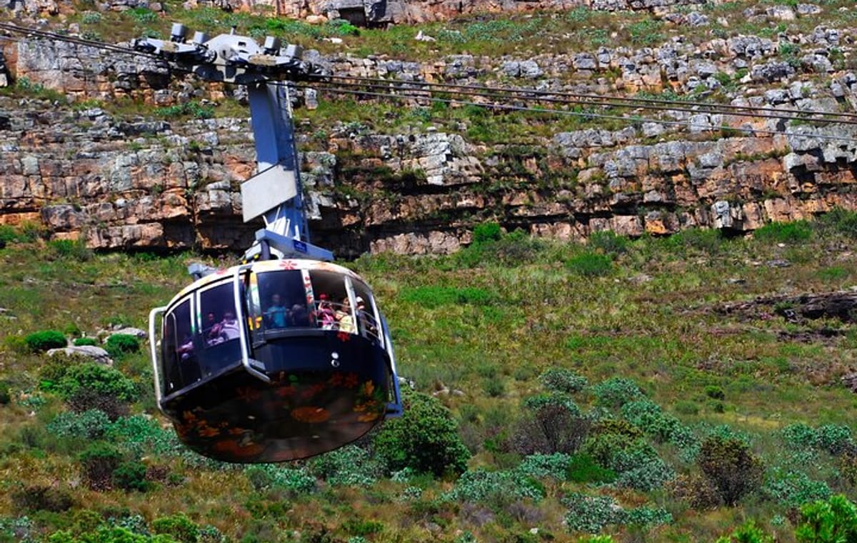 Cape Town Table Mountain and Peninsula Tour