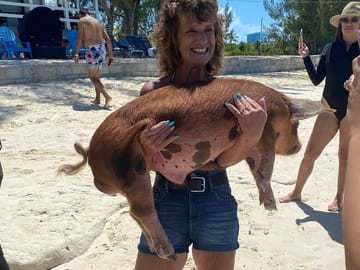 Rose island pigs interaction