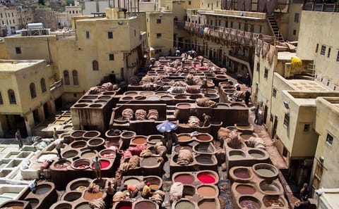 Luxury Private Half-Day City Tour of Fes with Local Guide
