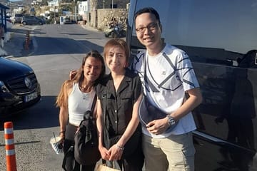 Mykonos Highlights: Guided Shore Excursion by Van